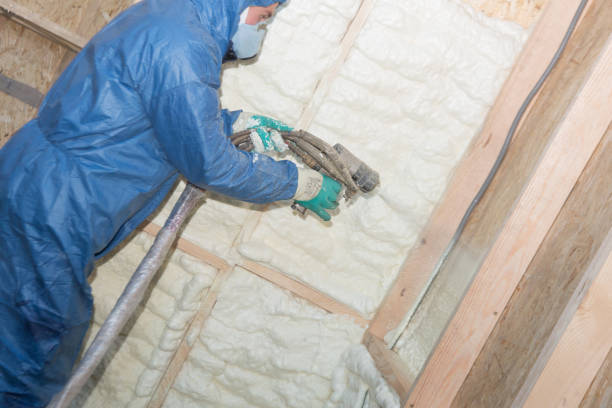 Best Insulation for Existing Homes  in Vale, OR